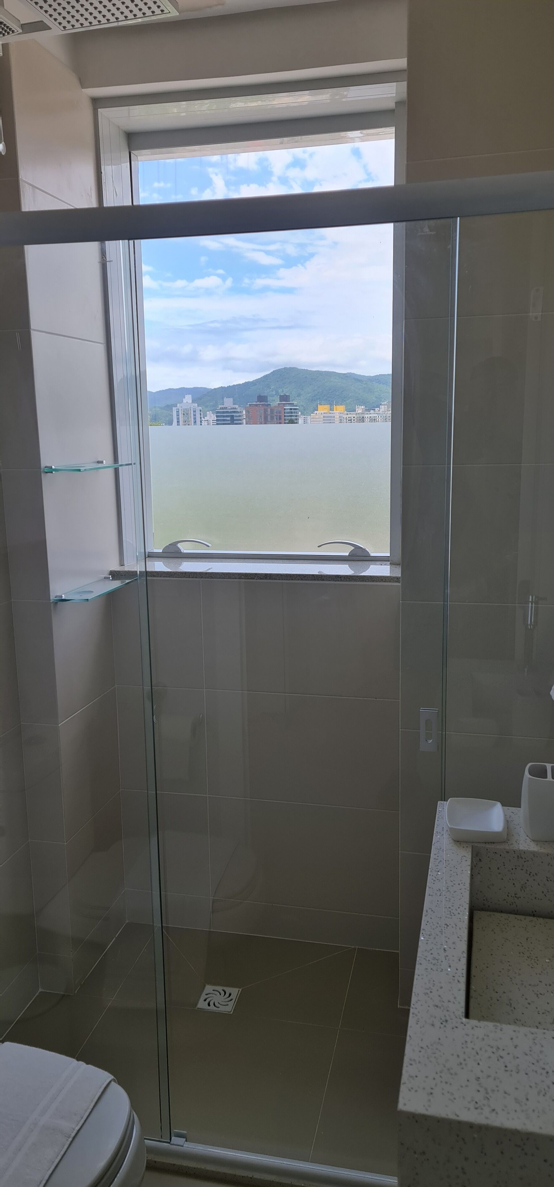 A modern bathroom with a glass shower enclosure, a toilet, and a sink with a countertop.