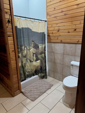 Shower, towels, soap, toilet paper