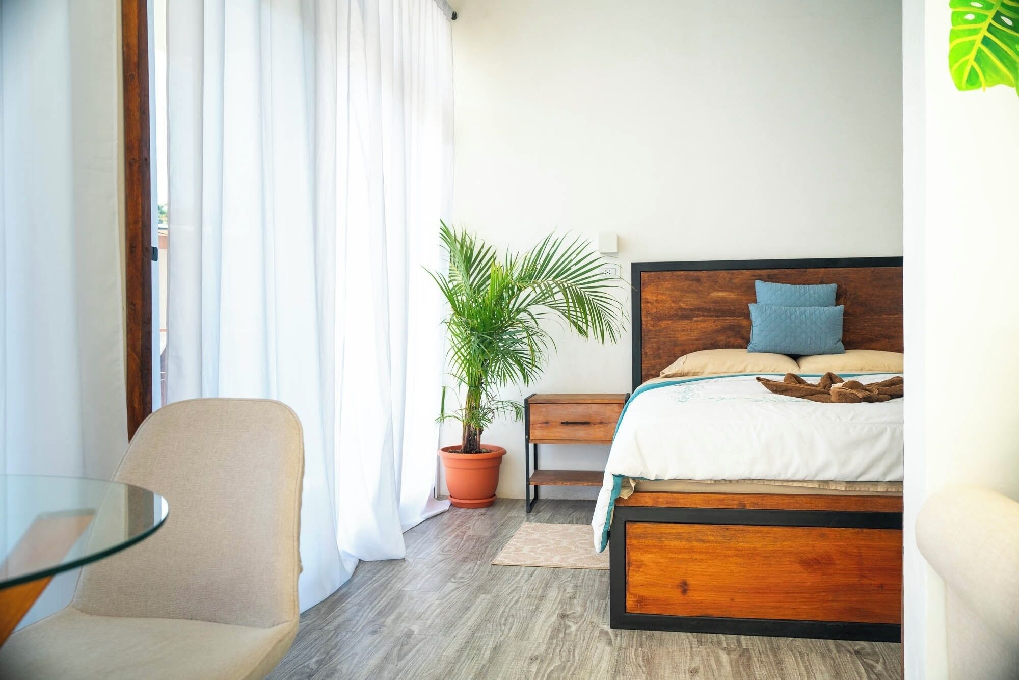 Une chambre d’hôtel avec un lit, une chaise, une table de chevet, une plante en pot et une fenêtre avec des rideaux.
