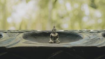 A Buddha statue on a stone pedestal with a blurred natural background.