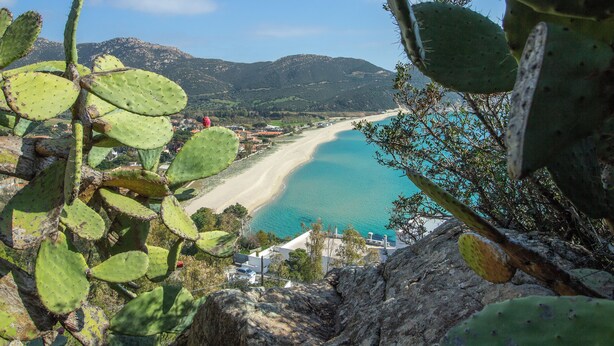 A coastal landscape with a beach, mountains, and cacti. - Accogliente Villa Immersa nel Verde con Incantevole Vista Mare (Sardegna)