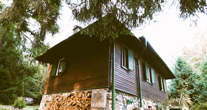 Cozy secluded forest cottage with WiFi, BBQ and Netflix