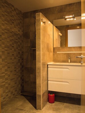 Bathroom features a shower area with a glass door and handheld showerhead, a vanity with a sink and mirror, and a patterned tile design on the walls.