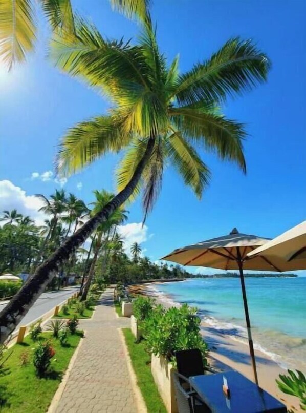 Playa