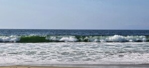 Beach - Charming 2-bedroom house near beaches and Pier in wonderful Redondo Beach (Redondo Beach)