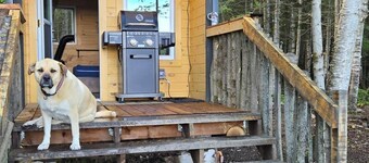 Wood Duck Cabin, Hike in or 4x4 vehicle, 120 m