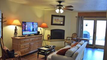 Smart TV, fireplace, books