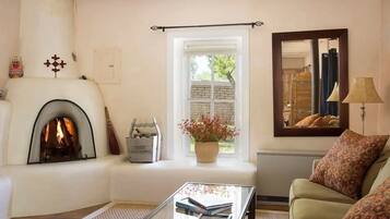 Smart TV, fireplace, books