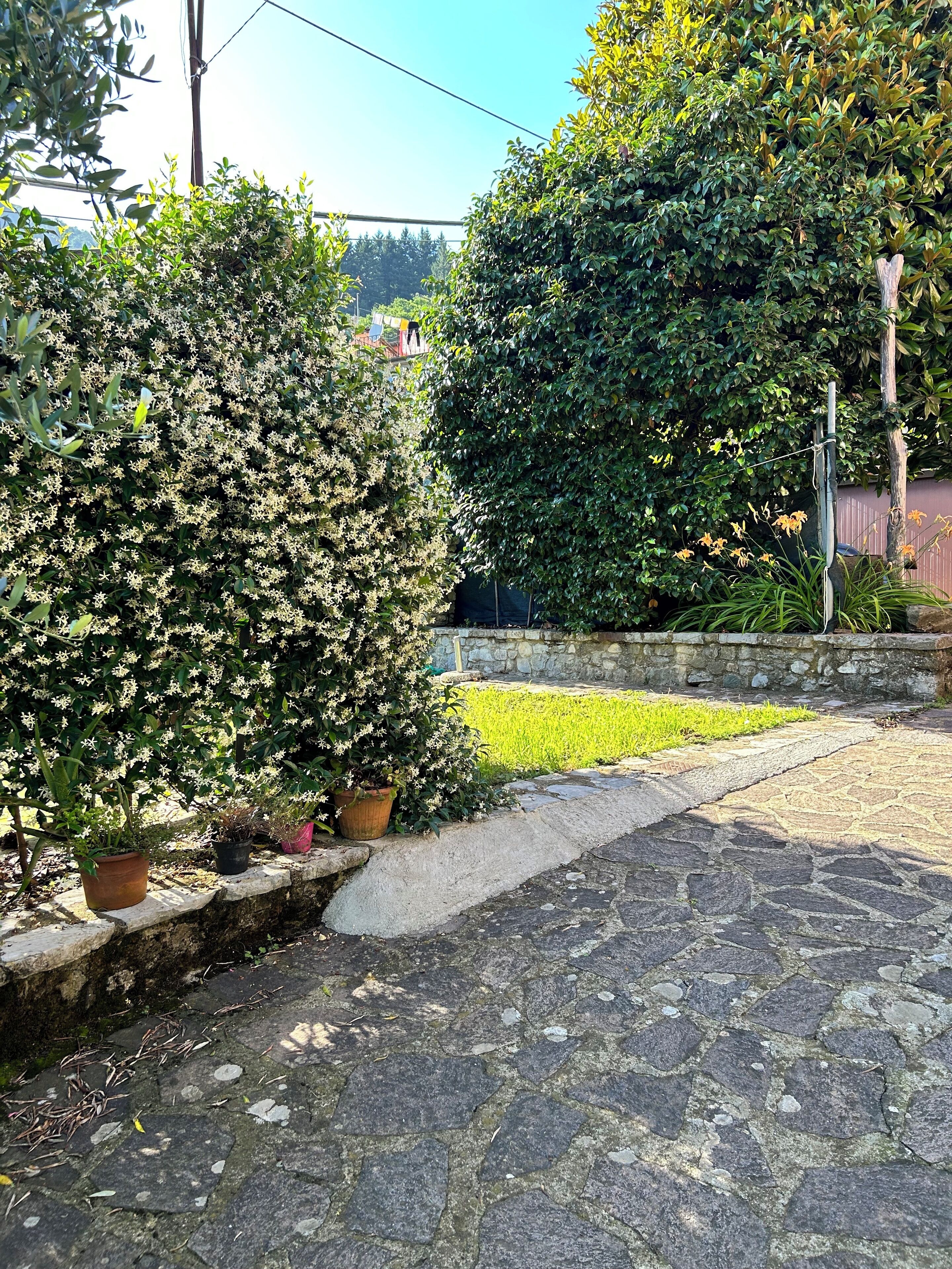 Parco della struttura