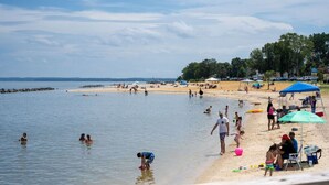 A beach with people swimming and playing, umbrellas, and beach chairs. - Historic charm with modern amenities (Colonial Beach)