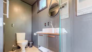 A modern bathroom with a toilet, sink, and mirror.