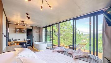 Iron/ironing board, free WiFi