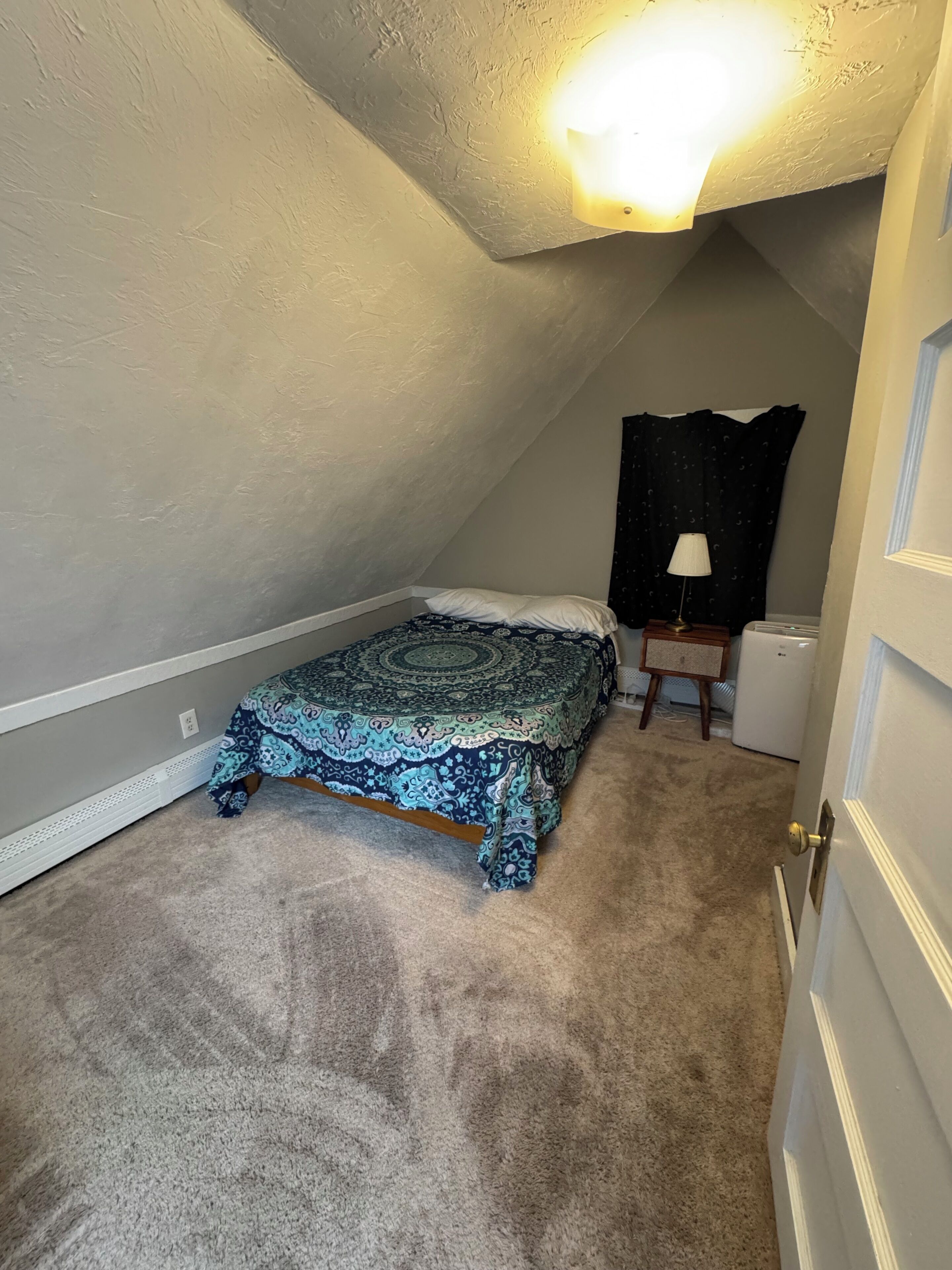 A small, carpeted room with a bed, a nightstand, a lamp, and a ceiling light fixture.