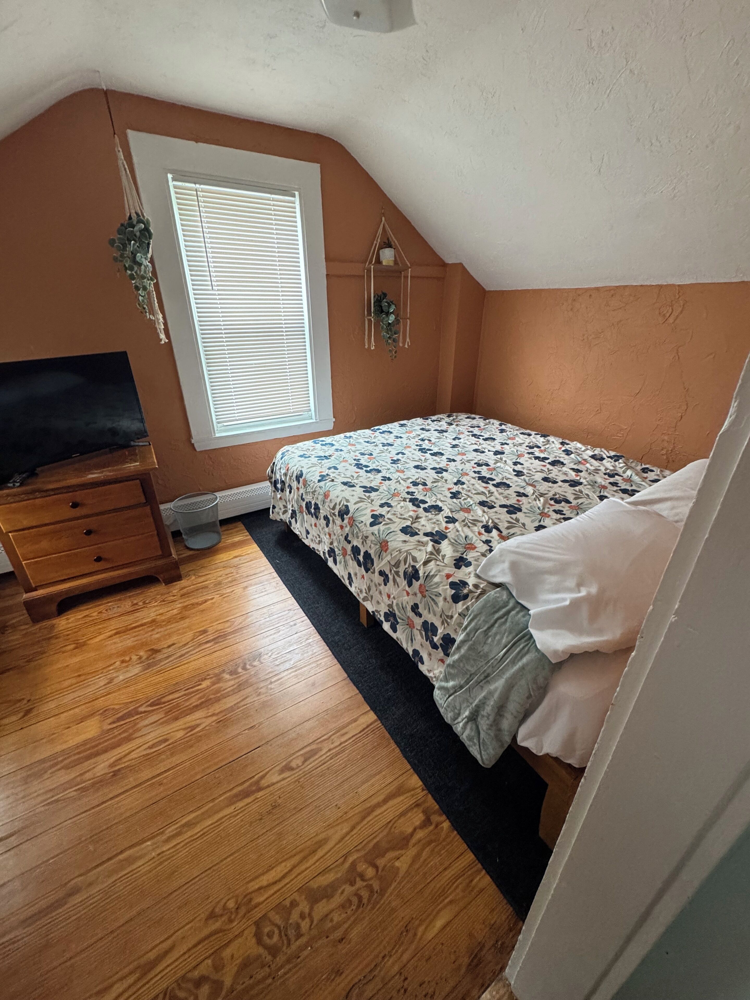 A bedroom with a bed, a dresser, a TV, a window, and a plant.