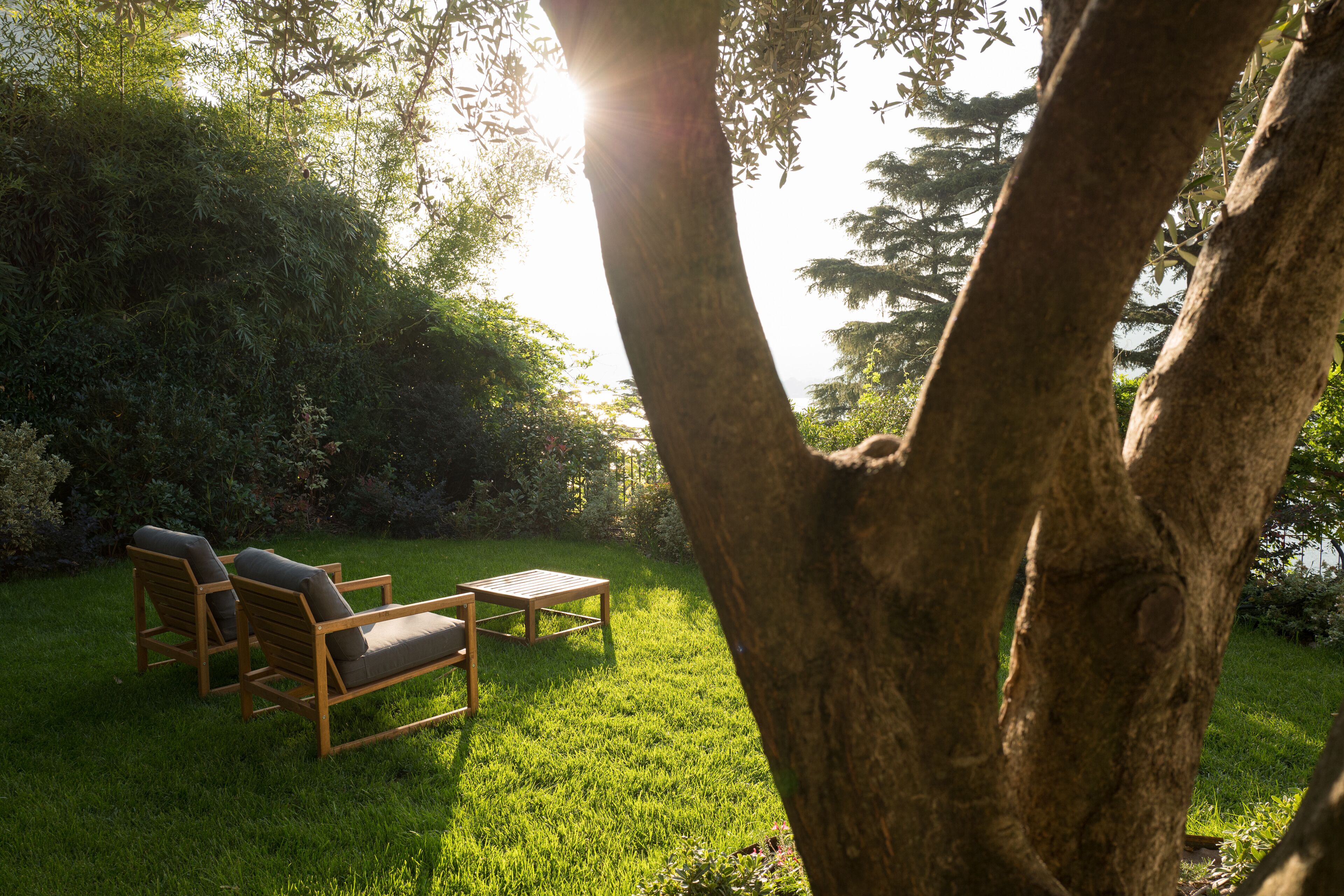 Un espace extérieur verdoyant, avec deux chaises en bois et une petite table, entouré d’arbres et d’arbustes.