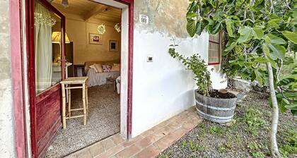 Casa Mariquita, Scegli una Delle Storiche Proprietà di Bolgheri