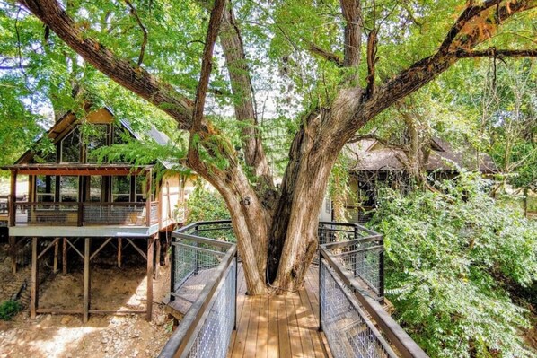 Una casa en el árbol con terraza de madera y barandilla de metal, rodeada de vegetación exuberante.