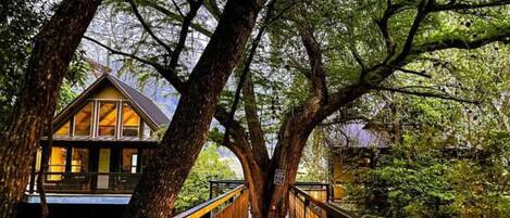 Jardines del alojamiento