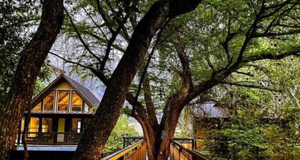 TH 4 - Whippoorwill Haus