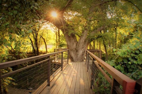 Property grounds - Treehouse 3 - Mourning Dove Haus (New Braunfels)