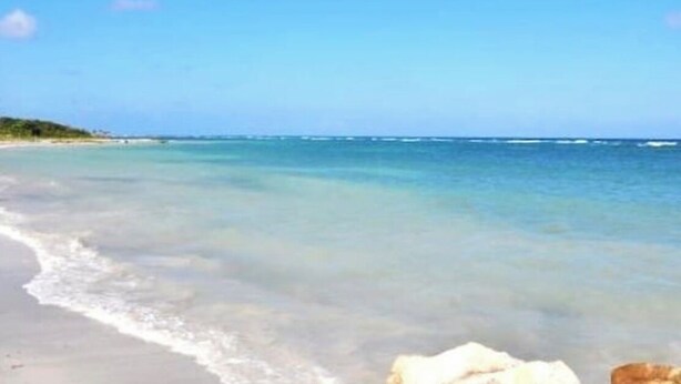 Una playa con aguas cristalinas y una orilla arenosa.