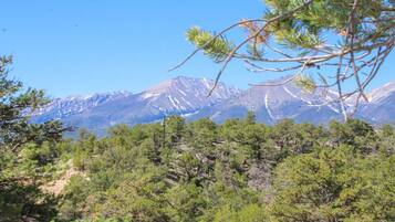 A mountainous landscape with dense pine forests in the foreground and snow-capped peaks in the background.