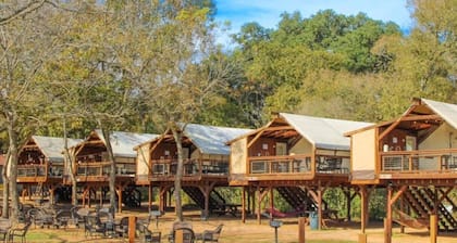 Safari Cabin #2 Glamping Vibes and game room access!