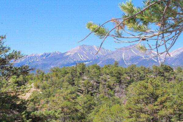 A mountainous landscape with dense pine forests in the foreground and snow-capped peaks in the background.