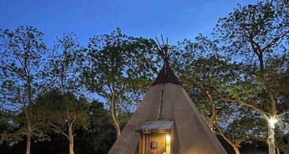 Waterfront Teepee 0 - Bird Sings