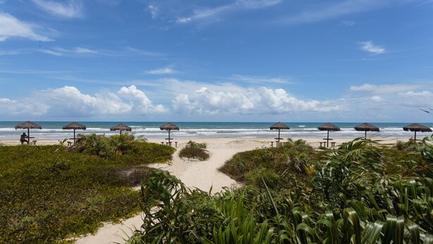A beach with thatched umbrellas and a clear view of the ocean. - PPRAs Casas ao lado da praia Barramares (Ilhéus)