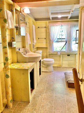 Douche, sĂšche-cheveux, serviettes fournies, savon