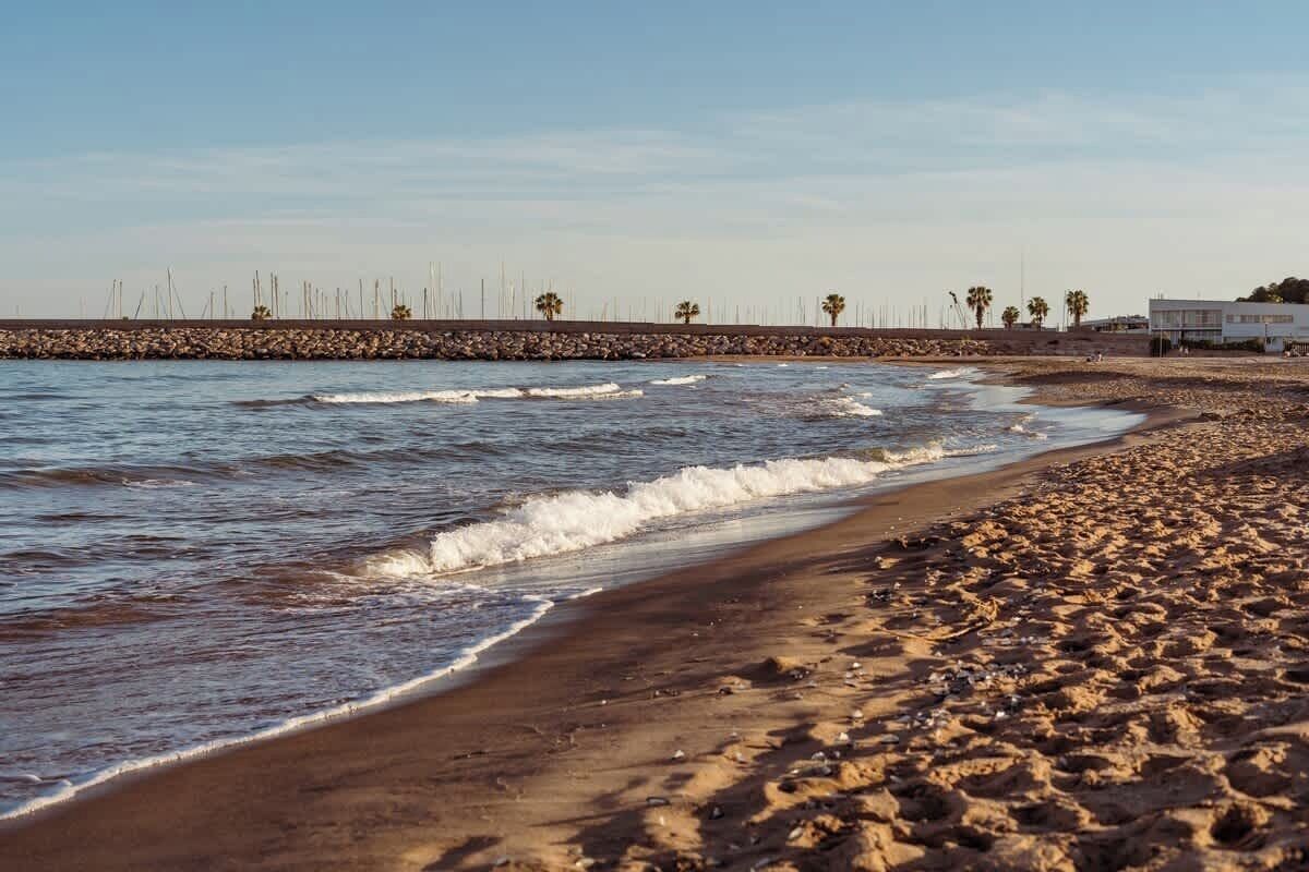 A beach with waves, a rocky breakwater, and palm trees.