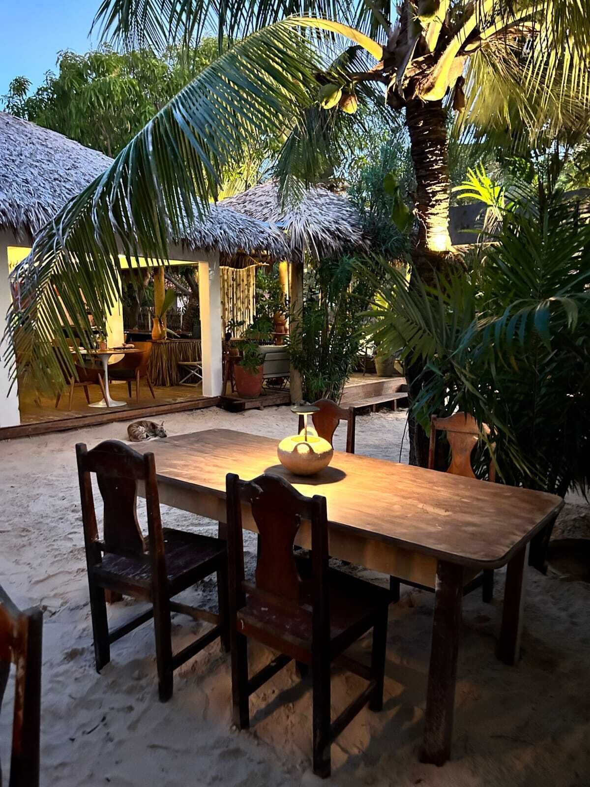 A wooden table with chairs in a sandy outdoor area, surrounded by palm trees and a thatched-roof structure.
