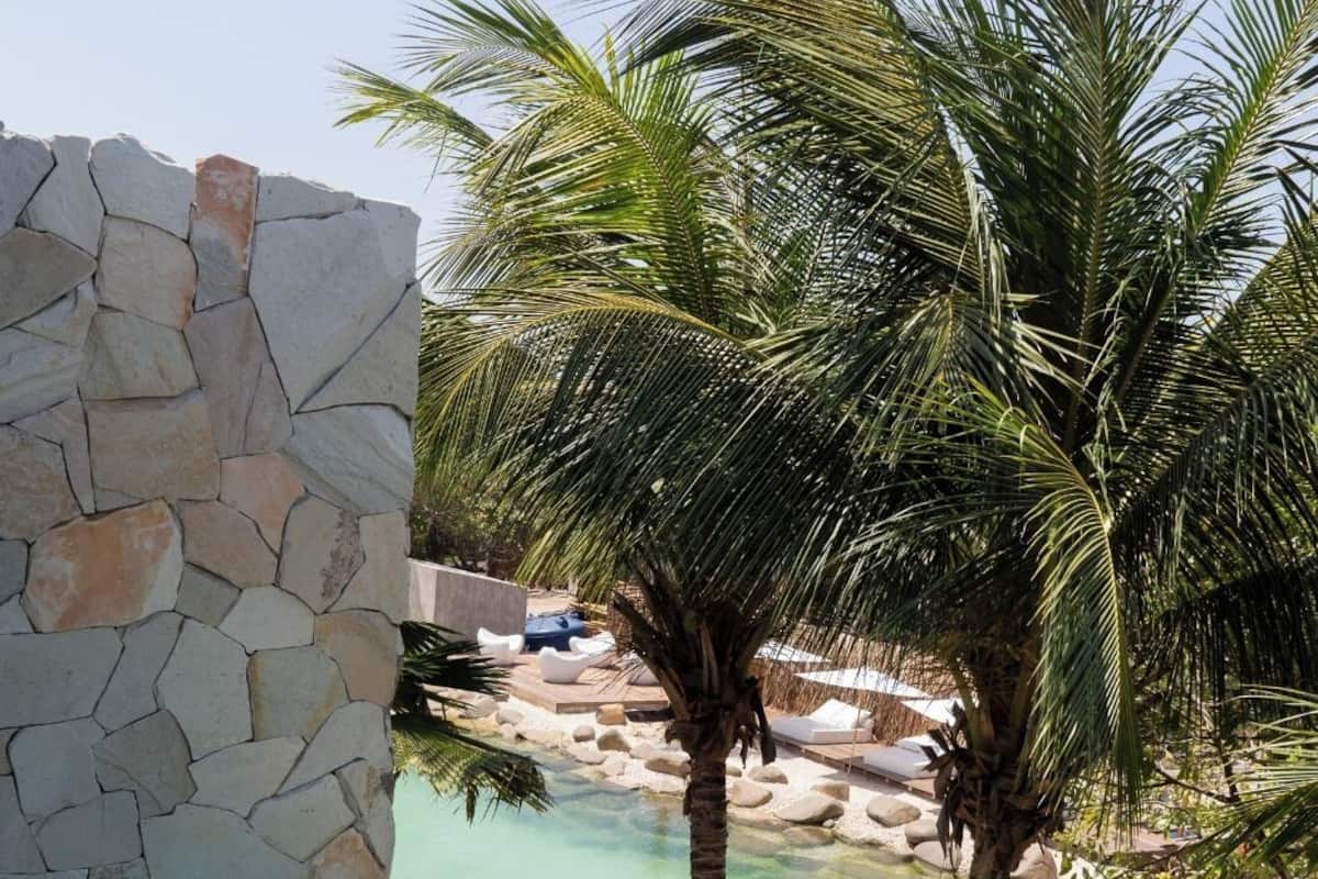 A swimming pool with clear water, surrounded by a stone wall and palm trees.