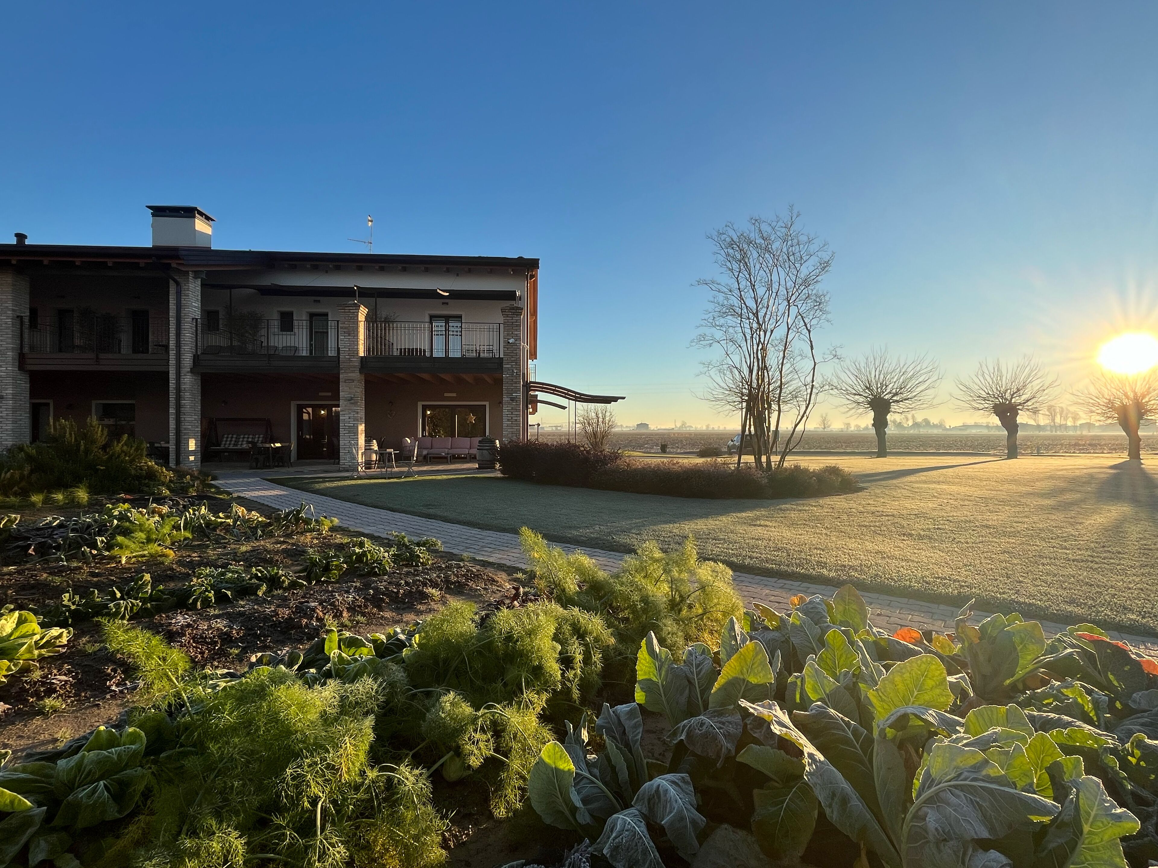 Garden view