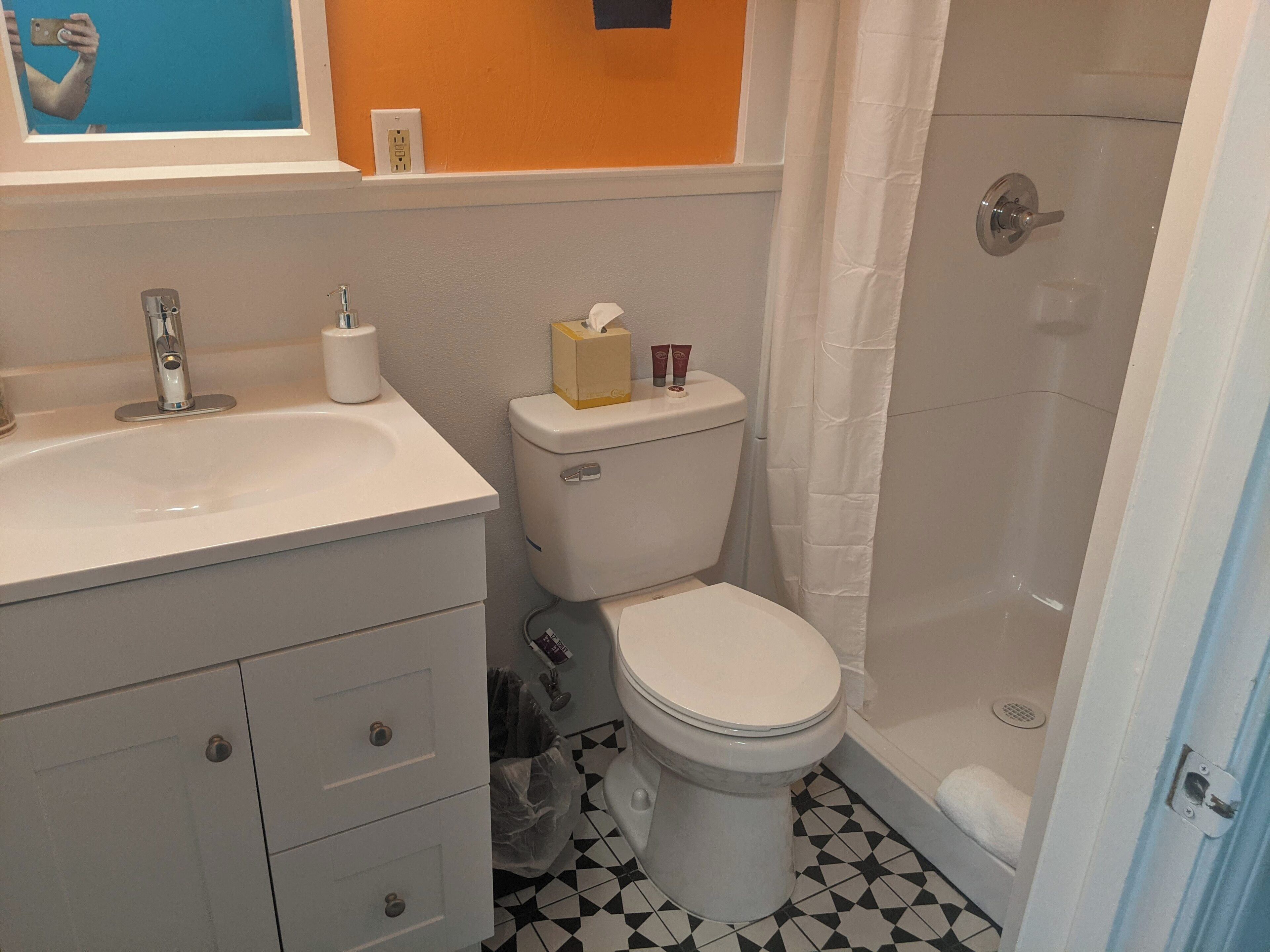 Une salle de bain avec un lavabo, des toilettes et une douche.