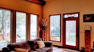 Smart TV, fireplace, books