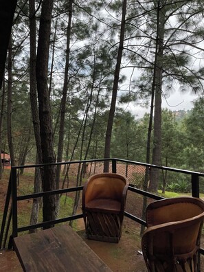 Property grounds - Immersed in the Mazamitla Forest. (Mazamitla)