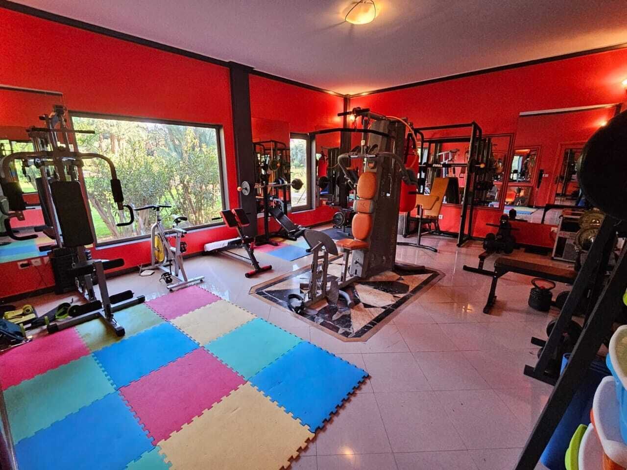 A gym with various exercise equipment, a colorful floor mat, and large windows.