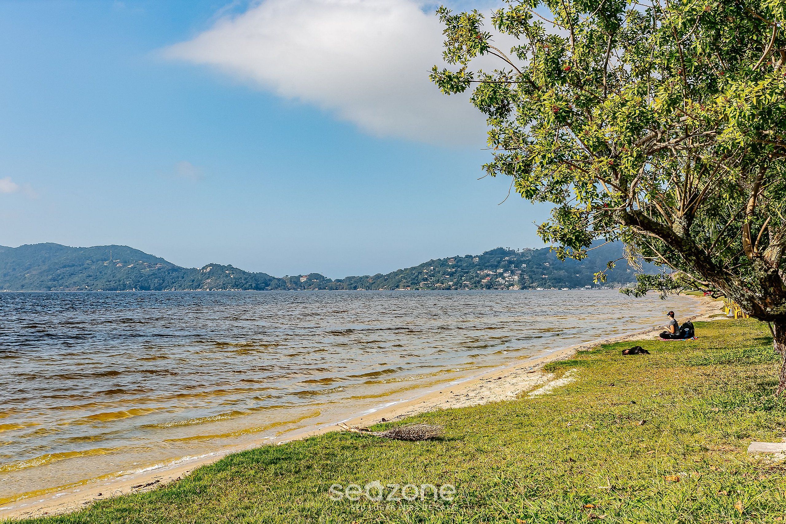 Une vue sur le lac, avec une zone herbeuse, un arbre et des collines au loin.