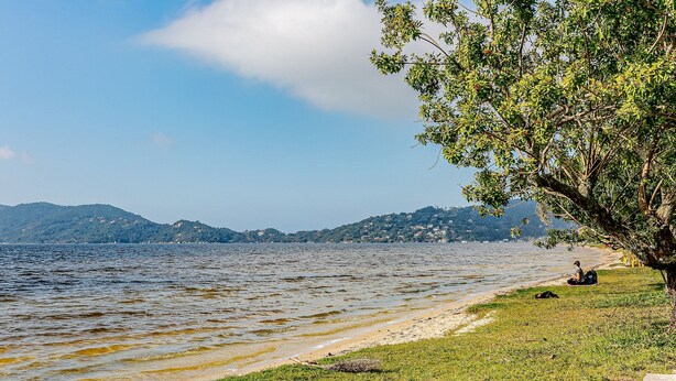 Une vue sur le lac, avec une zone herbeuse, un arbre et des collines au loin.