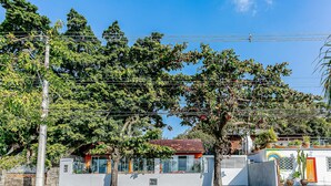 Un bâtiment avec un toit recouvert de tuiles rouges, entouré d’arbres et de lignes électriques.