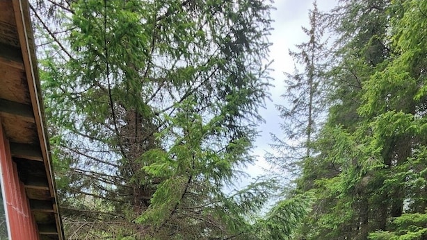 A wooden deck with a railing, a chair, and a table. - Secluded group of cottages close to town (Seward)