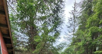 Secluded group of cottages close to town