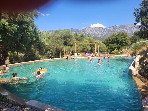 Authentic 18th-century oil mill in a 50-hectare olive grove in Balagne.
