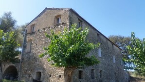 A stone building with a tiled roof, multiple windows, and a tree in front.
