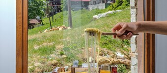 艾德帕拉佐度假村