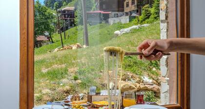 Ayder Palazzo Resort