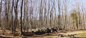 5BR, 1.5BR, Private Wooded Hide Away