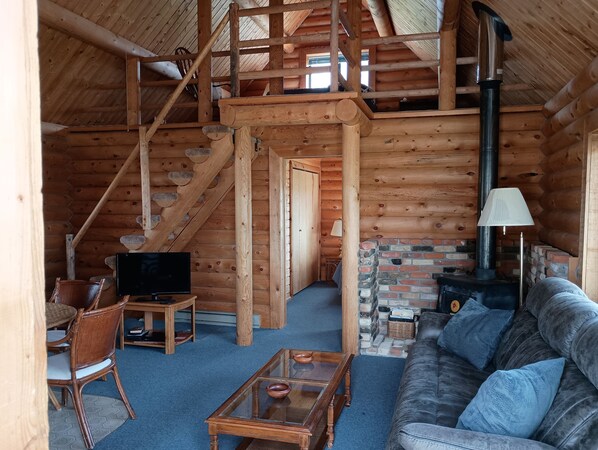 Televisio, DVD-soitin, kirjoja